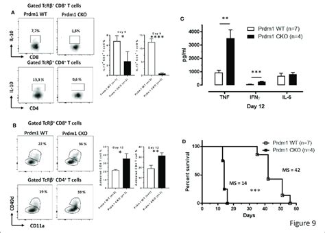 T Cell Derived Blimp Signaling Pathway Is Required To Dampen