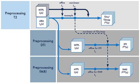 Frontiers Processing Pipeline For Atlas Based Imaging Data Analysis