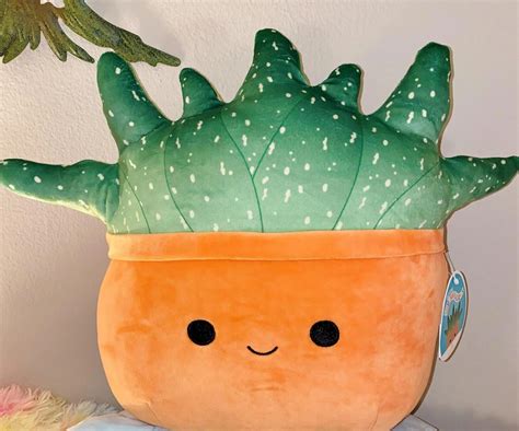 Brand New 16 Oz The Succulent Squishmallow Pillow Plush Rare New With