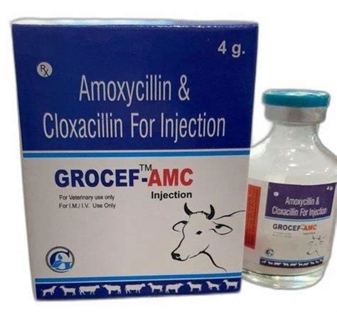 Grocef Amc Amoxycillin Cloxacillin Injection At Rs Piece In Orai