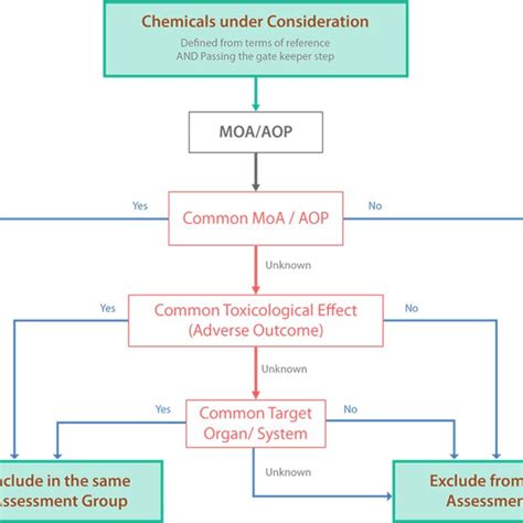 Schematic Representation Of Adverse Outcome Pathway Networks Aop