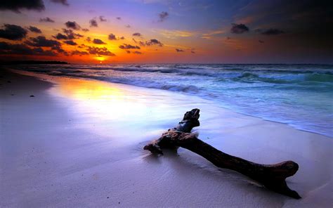 An Evening On The Beach wallpaper | nature and landscape | Wallpaper Better