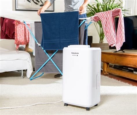 Dh201 Taurus Dehumidifier Parketandmeernl