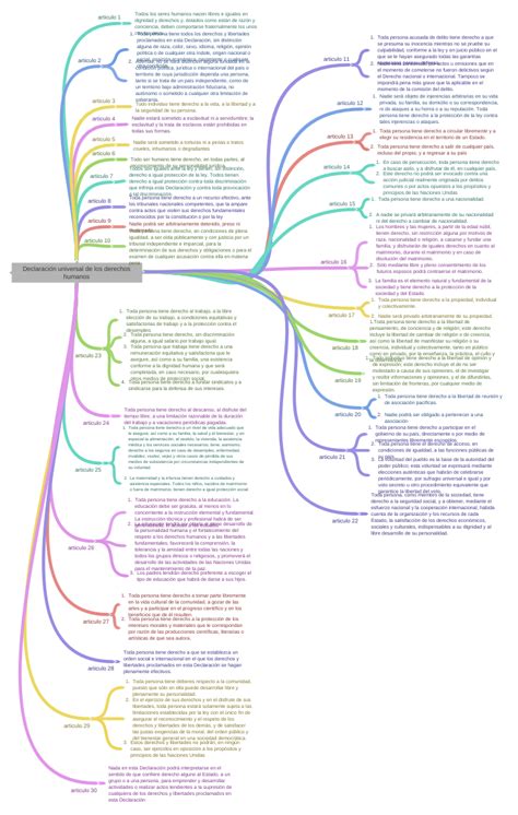 Declaración Universal De Los Derechos Humanos Coggle Diagram