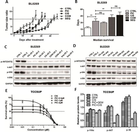 Pictilisib Exhibited Anti Tumor Activity And Synergized With Cisplatin