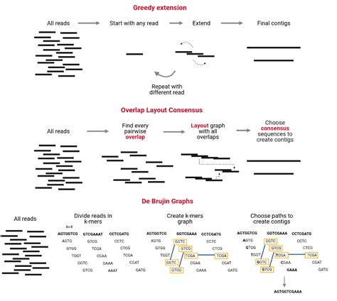 Metagenome Assembly Data Processing And Visualization For Metagenomics