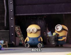 Minions Papoy Gif