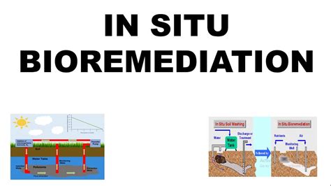 In Situ Bioremediation Insitu Bioremediation Biodegradation