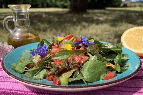 Frischer Wildkräutersalat mit Zitronen Leinöl Dressing von Windblase