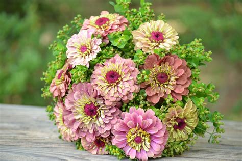 Wedding Flowers From Springwell Summertime Is Zinnia Time