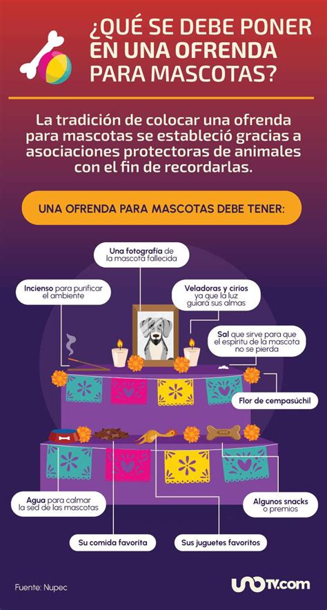 Ofrenda Para Tus Mascotas Cu Ndo Ponerla Y Qu Poner En Ella Unotv