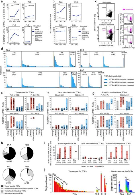 Isolation Single Cell Sequencing And Screening Of Tumour Reactive Tcrs