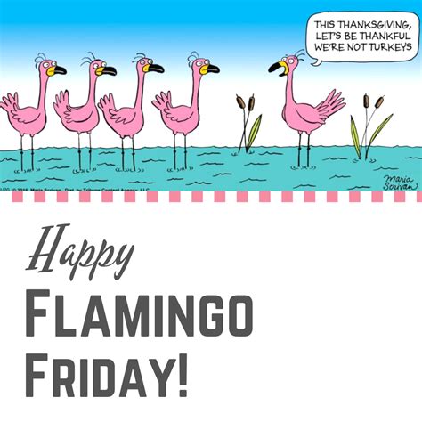 Happy Flamingo Friday 🍂🍁 Flamingo Happy Friday