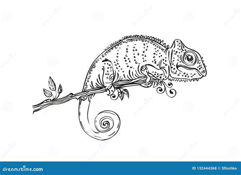 Illustration Chameleon Black and White Stock Vector - Illustration of realistic, drawing: 132444368