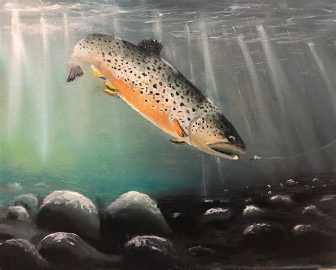 “Brown Trout” 16”x20” Oil Painting – Dallas Ebersviller