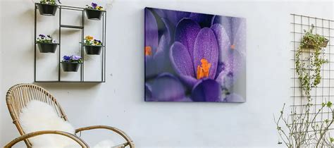 Outdoor Canvas Art: Can You Display Canvas Prints Outside? | My Picture UK