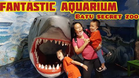 Batu Secret Zoo Aquarium Jatim Park 2 Batu Malang Youtube