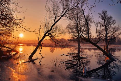 Papel De Parede Inverno Luz Solar Panorama Natureza X