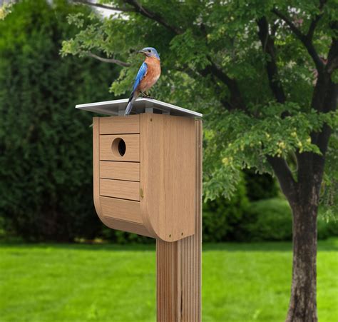 bluebird house hole size 2