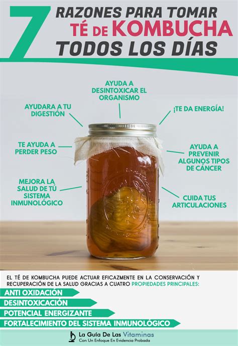 7 Razones Para Tomar Té De Kombucha Todos Los Días La Guía De Las Vitaminas