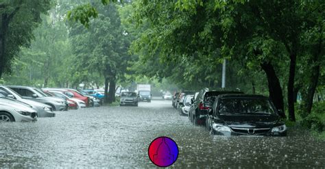 How To Identify Flood Damage In A Used Car