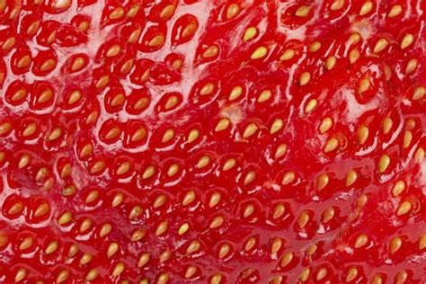 Strawberry Texture Stock Photos Images And Backgrounds For Free Download