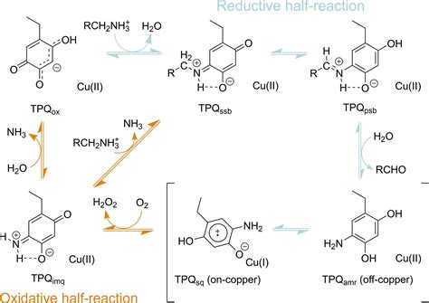 IUCr Serial Femtosecond X Ray Crystallography Of An Anaerobically