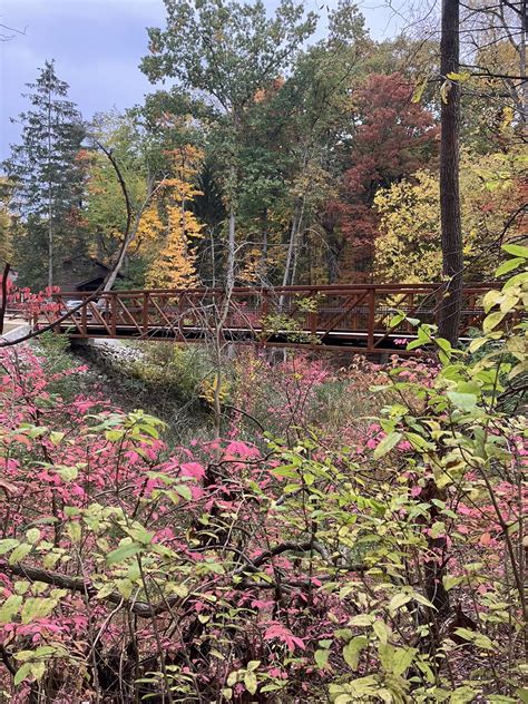 Village of Whitehouse, Ohio... - Village of Whitehouse, Ohio