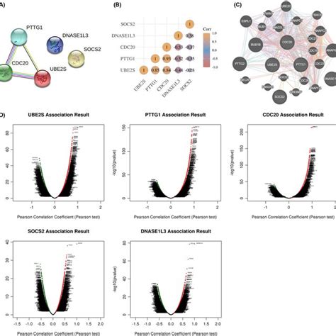 Gene Interaction And Co‐expression Of The Target Genes In Hcc A