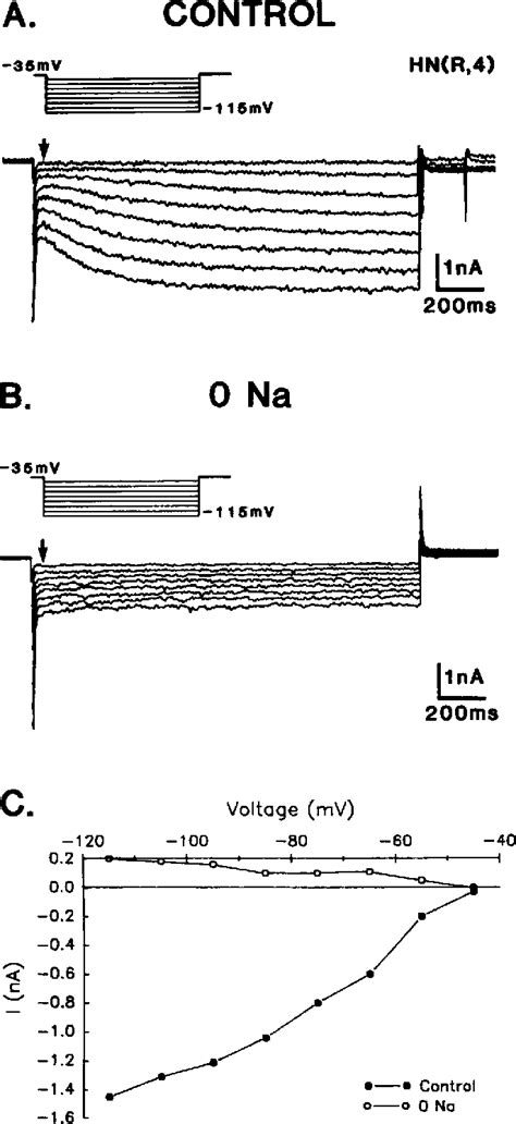 Figure 6 From A Hyperpolarization Activated Inward Current In Heart