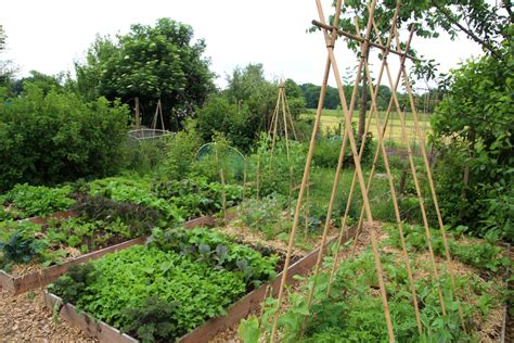 How To Apply Permaculture To Your Home Garden