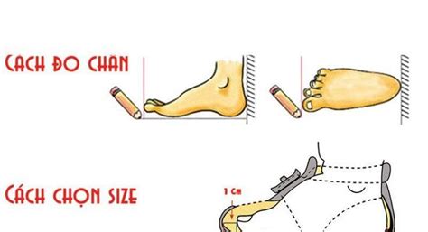 Bảng Size Giày Cho Bé Và Cách đo Size Giày Chuẩn Xác Nhất Chia Sẻ