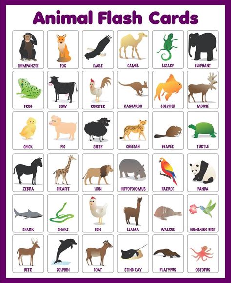 10 Best Free Printable Animal Flash Cards Pdf For Free At Printablee