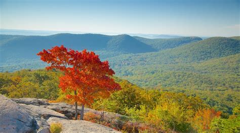 Visit Bear Mountain State Park In New York Expedia
