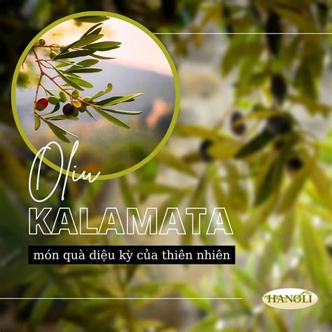 Qu Oliu Kalamata S Di U K Thi N Nhi N Ban T Ng Hanoli Shop