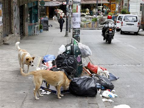 Valparaíso Está A La Espera De Que El Gobierno Decrete Alerta Sanitaria