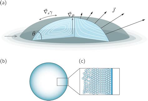 Evaporation Driven Liquid Flow In Sessile Droplets Soft Matter Rsc