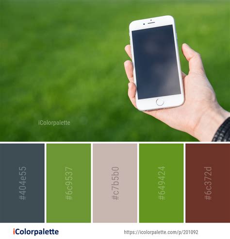 7 Mobile Phone Color Palette Ideas In 2024 Icolorpalette