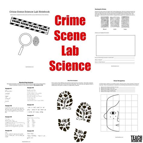 Forensic Science Activity Worksheets