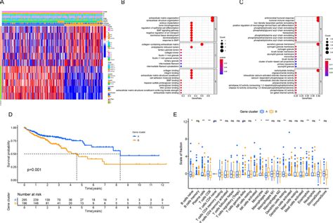 Determination Of Immunogenic Gene Subtypes A Unsupervised Clustering Download Scientific