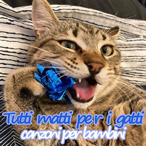 Amazon Tutti Matti Per I Gatti Canzoni Per Bambini Various