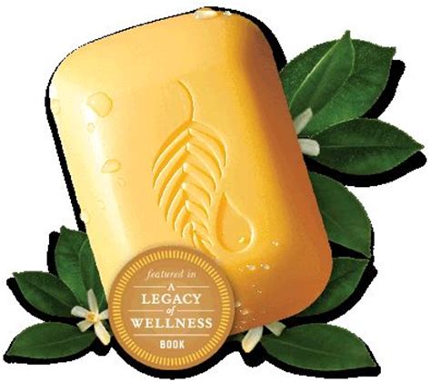 The Gold Bar Citrus Scent Melaleuca Melaleuca Melaluca Products