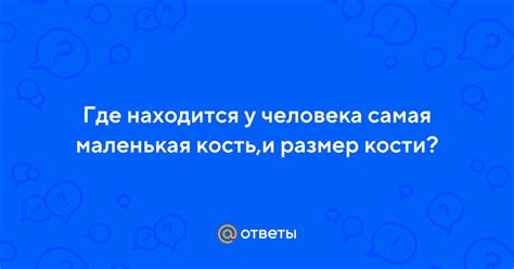 Ответы Mail: Где находится у человека самая маленькая кость,и размер кости?
