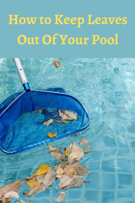 Have Pesky Leaves In Your Swimming Pool Here S How To Clean Those