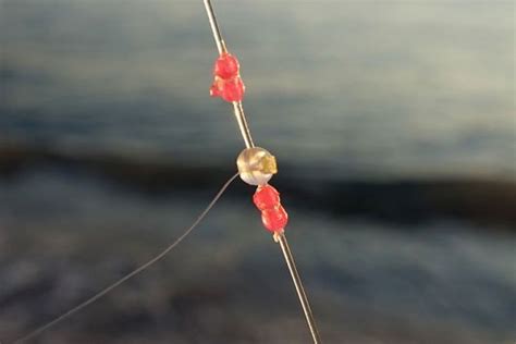 Montage surfcasting pour réussir en Méditerranée à la tombée de la nuit