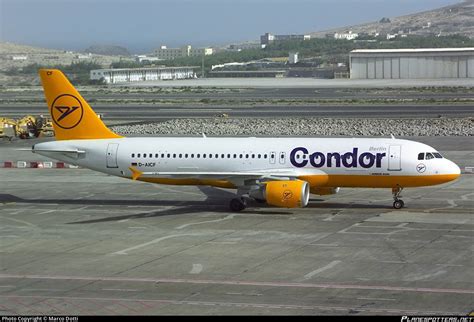 D Aicf Condor Berlin Airbus A Photo By Marco Dotti Id