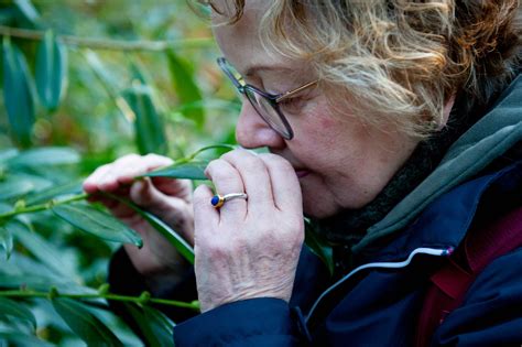 Ausbildung Natur Resilienz Trainer In Kurs Natur Ch