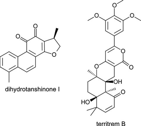 Crystal Structure of Human Acetylcholinesterase Guides Drug Design – NYSBC