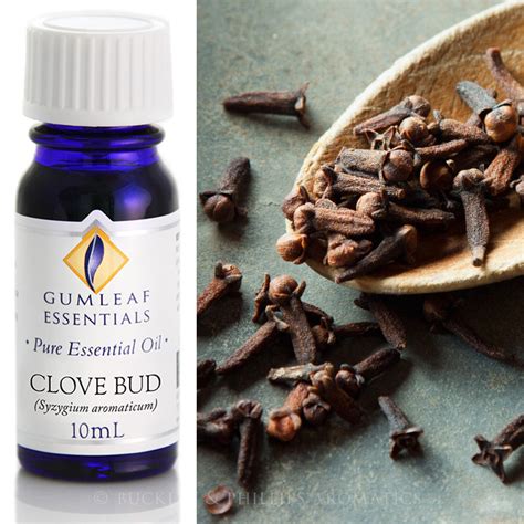 Clove Bud Essential Oil