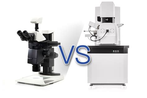 Key Differences Between Optical Microscope And Electron Microscope